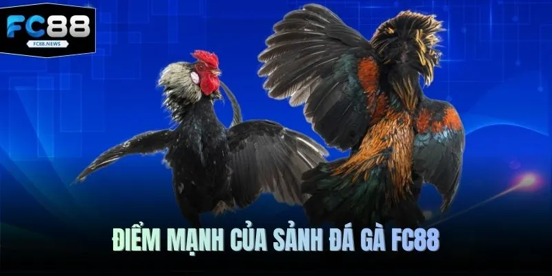 Điểm mạnh của sảnh đá gà FC88