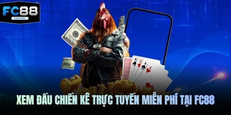 Xem đấu chiến kê trực tuyến miễn phí tại FC88